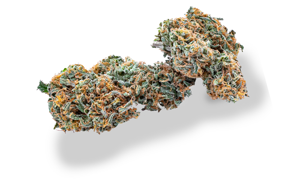 boulder dispensaries cannabis