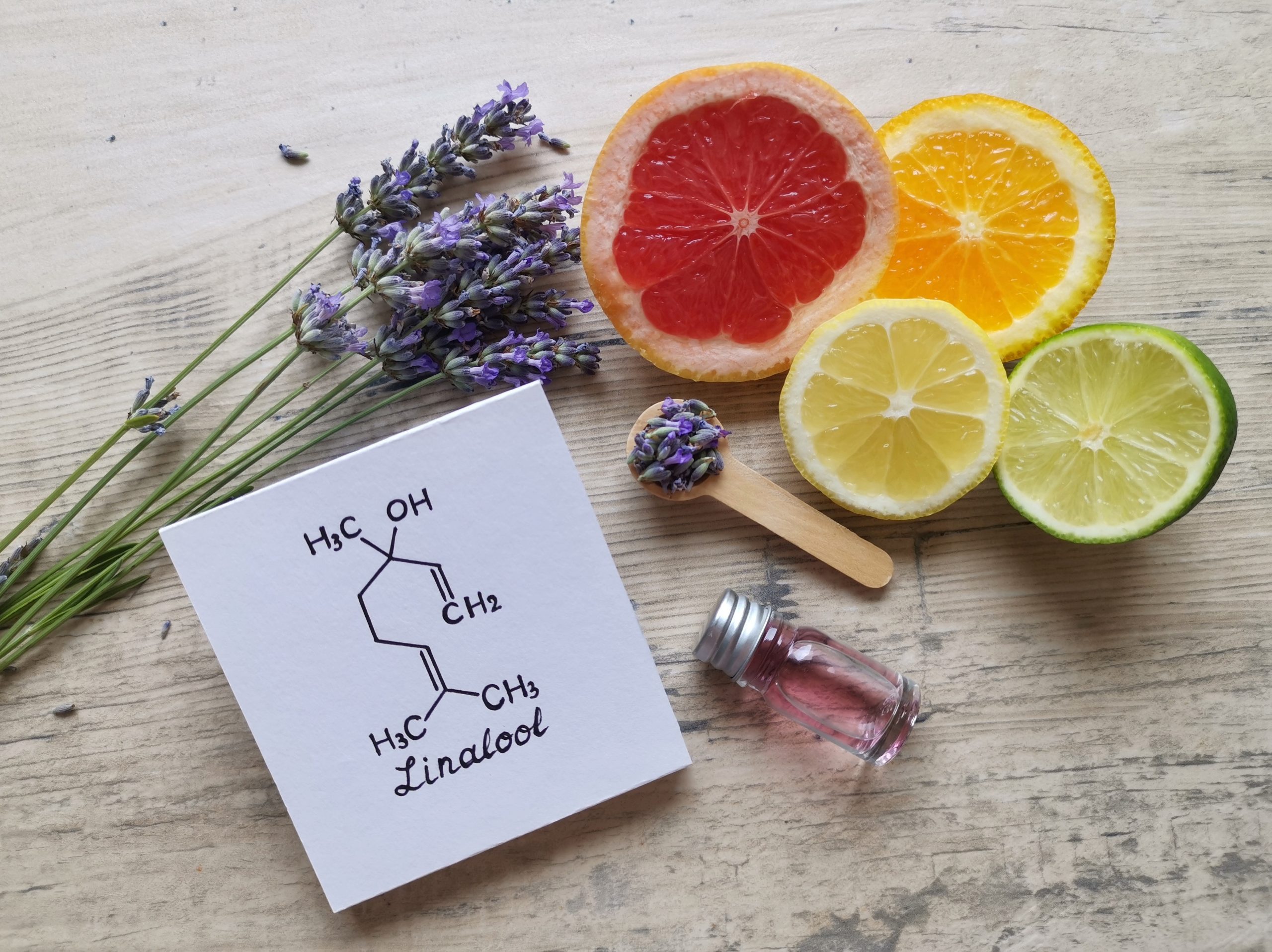 Structural chemical formula of linalool with fresh lavender flowers and citrus fruit. Linalool is an aromatic terpene, the major component of essential oils, it is used in floral fragrances.